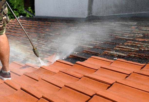 Best Affordable Power Washing  in Mila Doce, TX